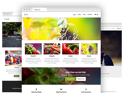 A collection of easy–to–customize website themes